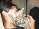 kitty attackt