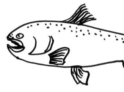 Happiness Trout