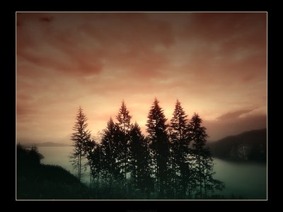 Dream