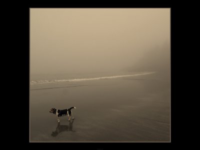 Front cover image from Tofino