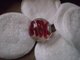 i made this for ABK