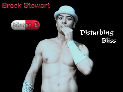 Breck Stewart - Mister E - Disturbing Bliss