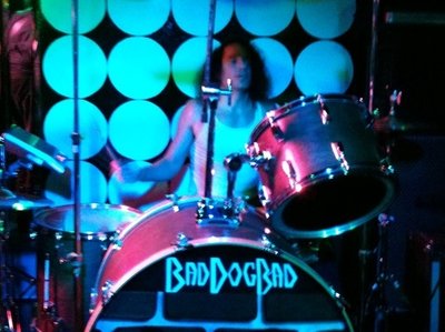 BAD DOG BAD photo