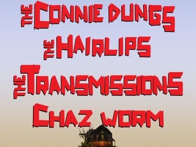 The Connie Dungs photo