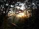 Cabin at Sunrise