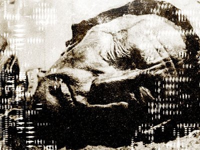 IC 434 photo
