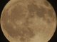 Crazy bout the moon...
