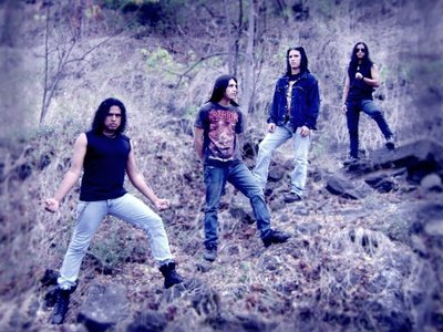 Arius photo