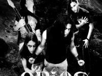 Arius photo