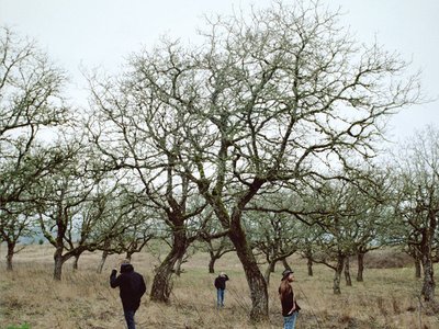 Lewi Longmire & the Left Coast Roasters photo