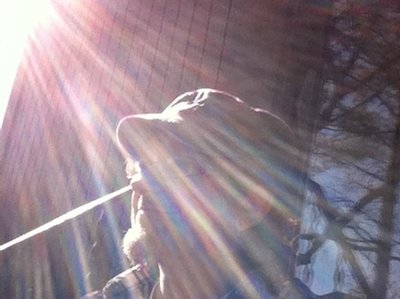 In The Light