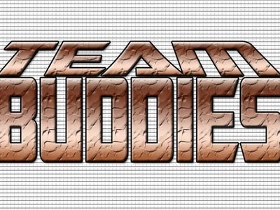 TEAM BUDDIES photo