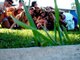 Fun in a sunny day