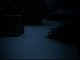 i love the snow