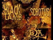 BLACK LAMB photo