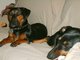 my two girls
