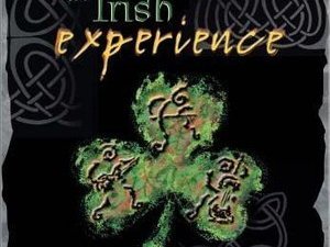 THE IRISH EXPERIENCE