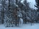 Winter in Michigan