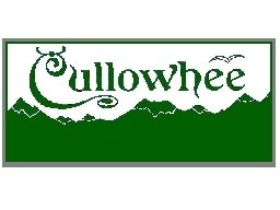 Cullowhee Band