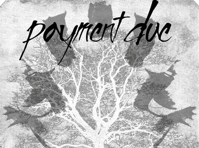 Payment Due photo