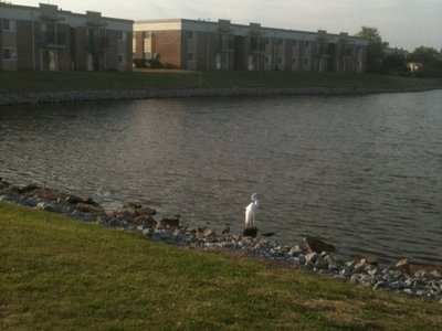 OKC. TMG OMG!! Beautiful!