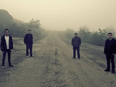 Haster photo