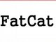 All one word. Capital F. Capital C.