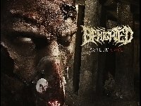 Benighted photo