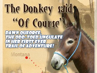 Donkey said of course