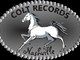 Colt Records Nashville