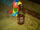 40 birdie 