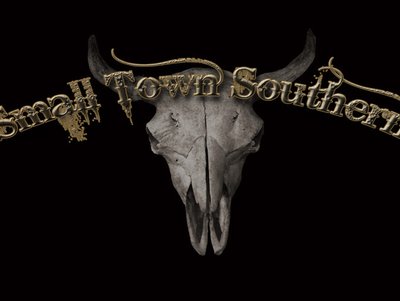 STS Logo