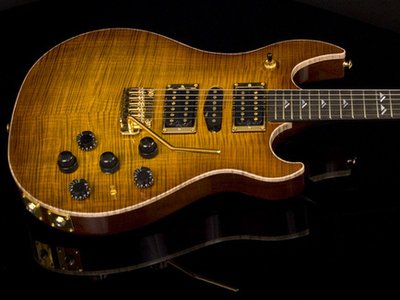 The Michael Lewis Guitars Pro 1
