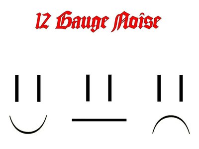 12 Gauge Noise photo