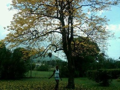 Hope Gardens,Jamaica...Photos By Fancy