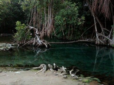Salt River,Jamaica ...Photos By Fancy