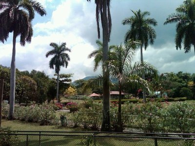 Hope Garden,Jamaica...Photos By Fancy