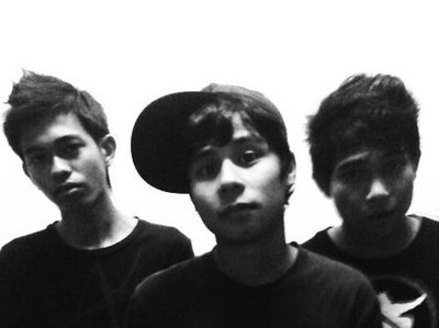 The Finks
