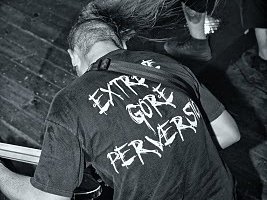 The Vile Impurity photo