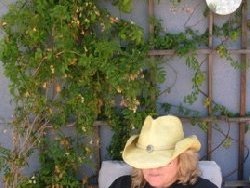 So Cal Studio