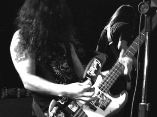 WHIPSTRIKER photo