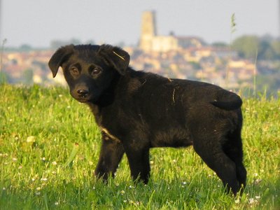 Titi!!