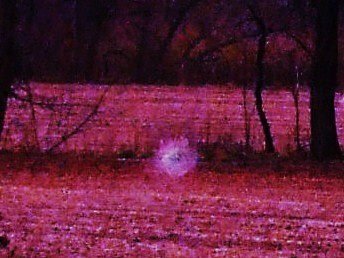 a real pic of a real orb