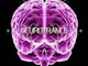 Neurotrance Records