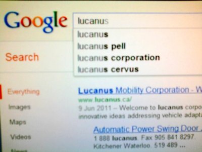 Lucanus photo