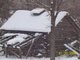SUGAR HOUSE IN MY BACK YARD