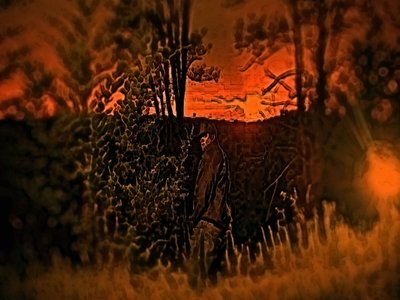 Pflames photo