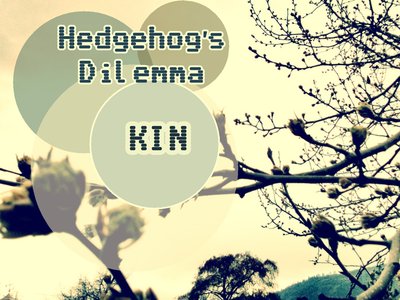 Hedgehog's Dilemma photo