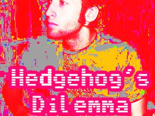 Hedgehog's Dilemma photo