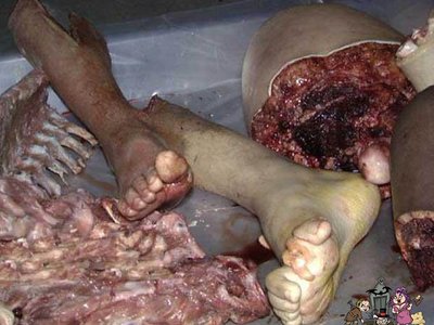 Morbid Sikosis photo
